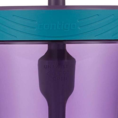 Contigo Kids Spill-Proof 14oz Tumbler with Straw and BPA Free Plastic Eggplant