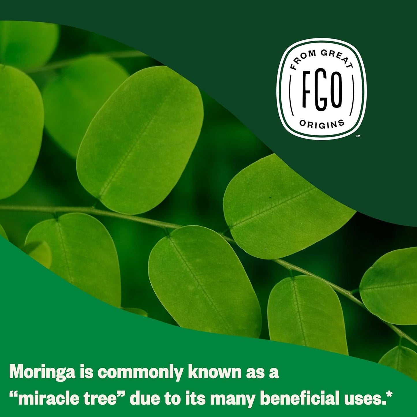 FGO Organic Moringa Tea, 100 Count, Eco-Conscious Tea Bags, Resealable Bag, Caffeine Free, Packaging May Vary (Pack of 1)