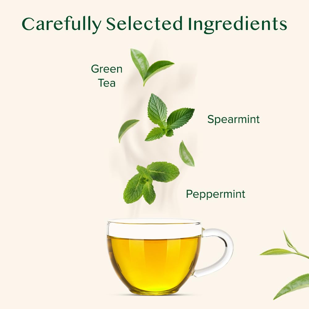 VAHDAM, Mint Green Tea Bags (30 Count) 100% Pure Leaf Tea, High Grown, Low Caffeine, Non GMO, Gluten Free | Individually Wrapped Plant-Based Pyramid Tea Bags | Direct from Source (Pack of 2)