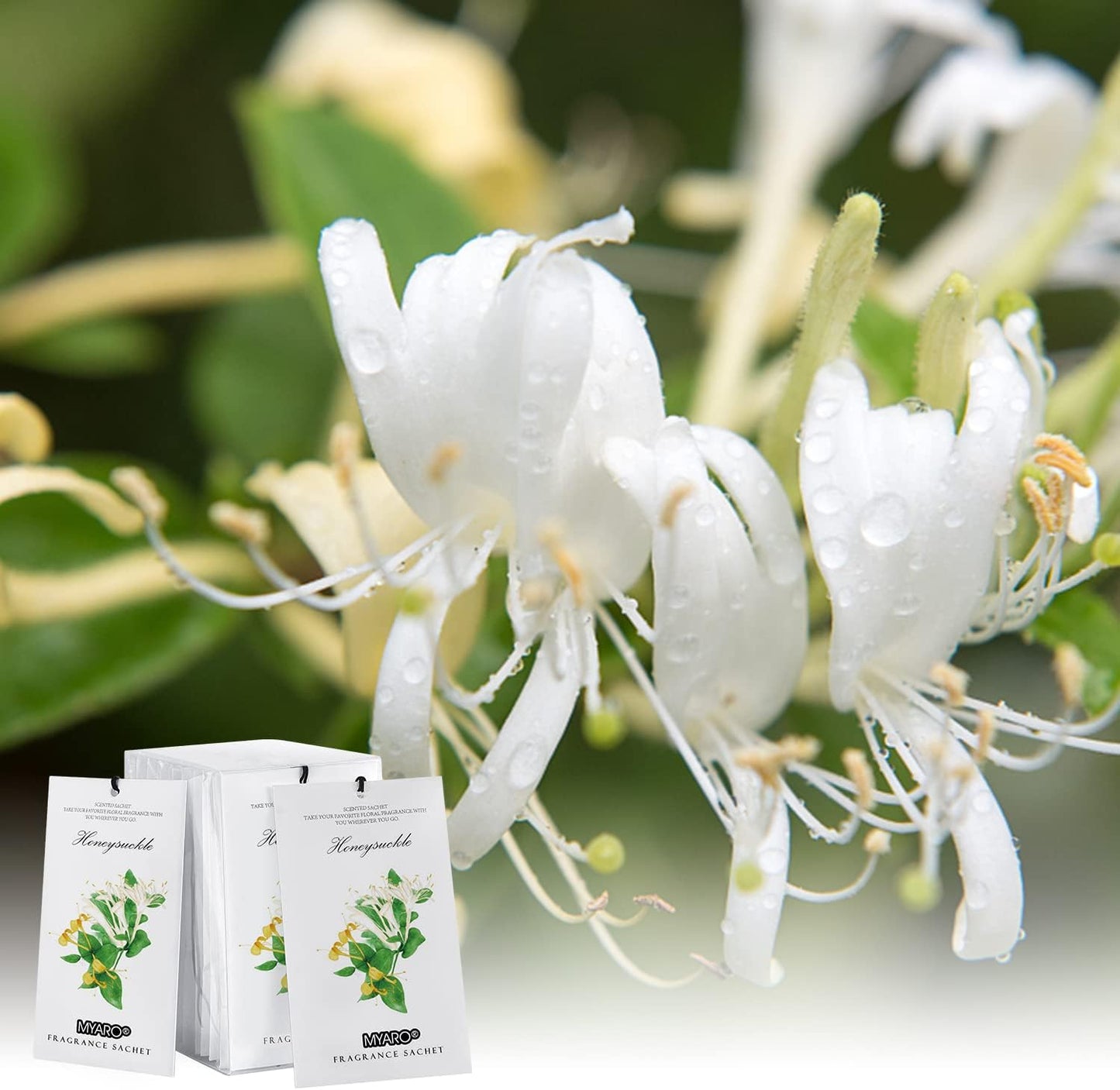 MYARO 12 Packs Honeysuckle Scented Sachets for Drawer and Closet, Long Lasting Air Freshener Fresh Scents Potpourri Bags Home Fragrance for Room Car Small Space