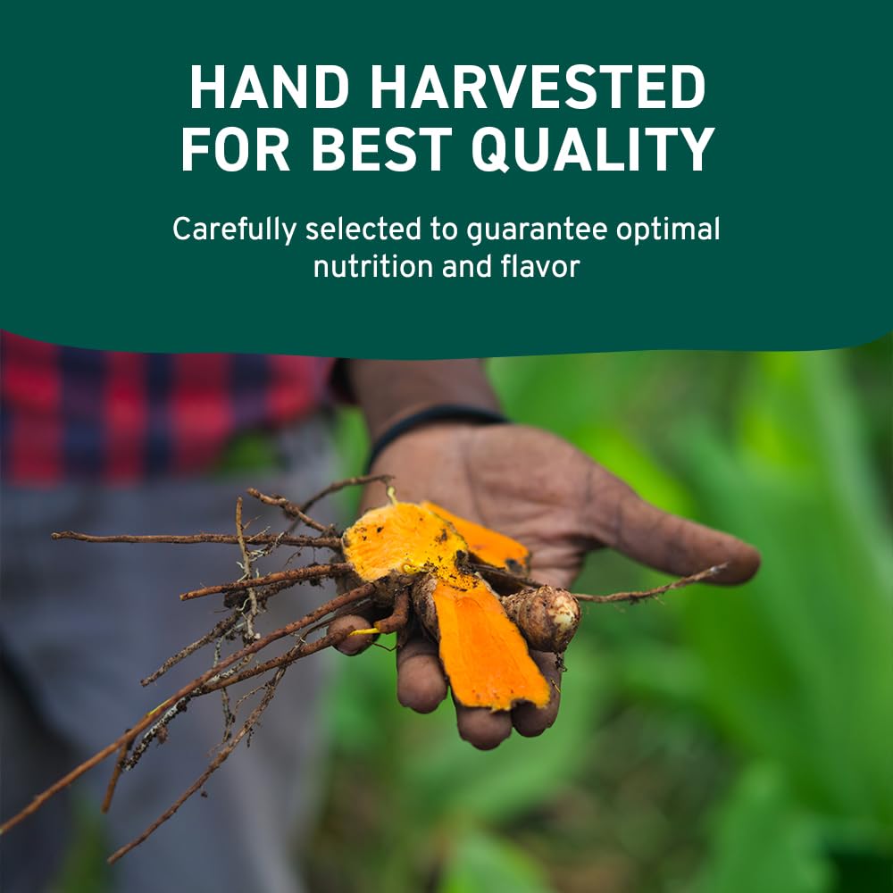 HANDPICK, Organic Turmeric Powder with Curcumin (397g/14oz) | Authentic Indian Origin | Gluten Free | Made from Turmeric Root