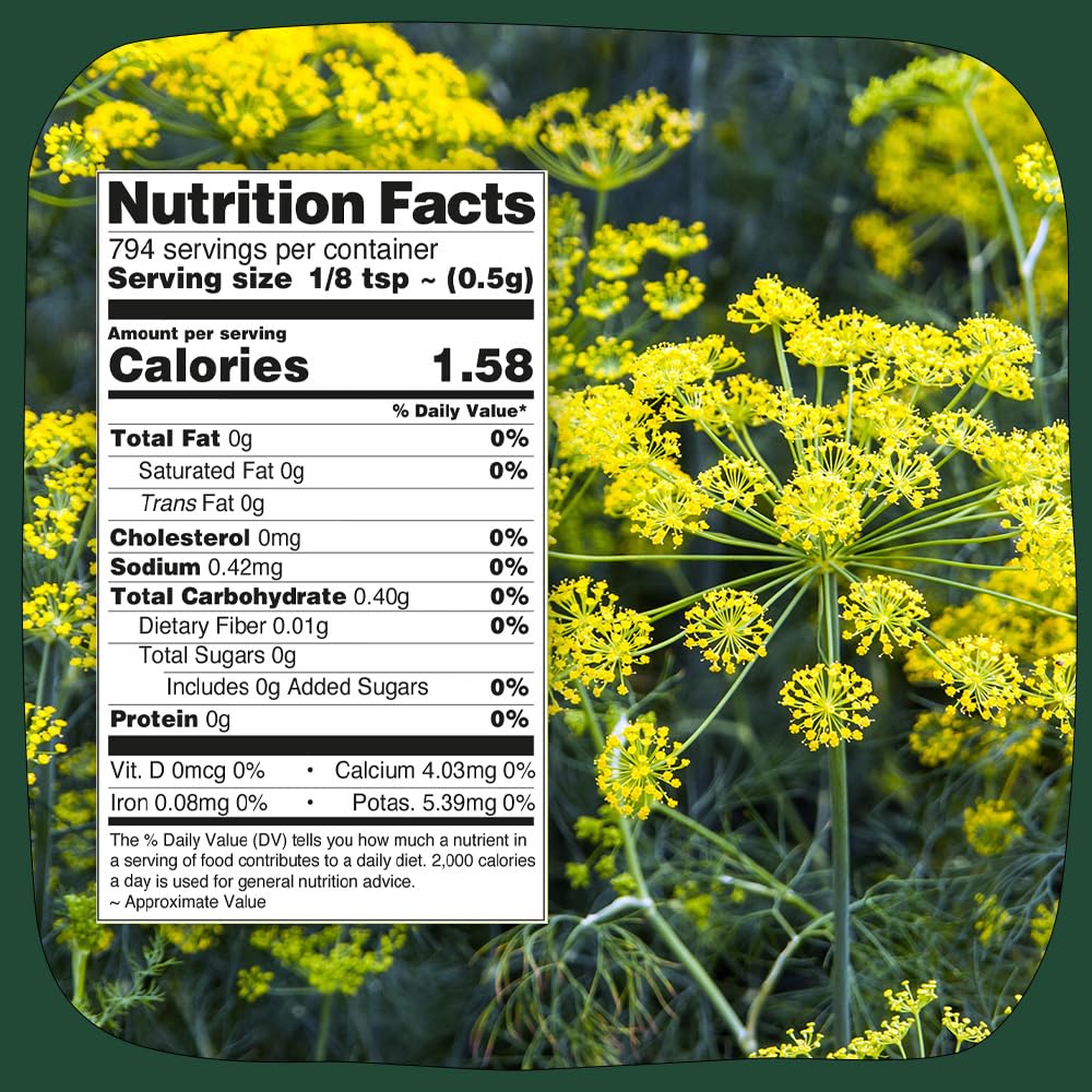 Fennel Seeds (397g/14oz) Tested for Quality | Raw Fennel Seed | Perfect for Cooking, Teas, Smoothies & Lattes | Bulk Whole Seeds in Resealable Zip Lock Pouch