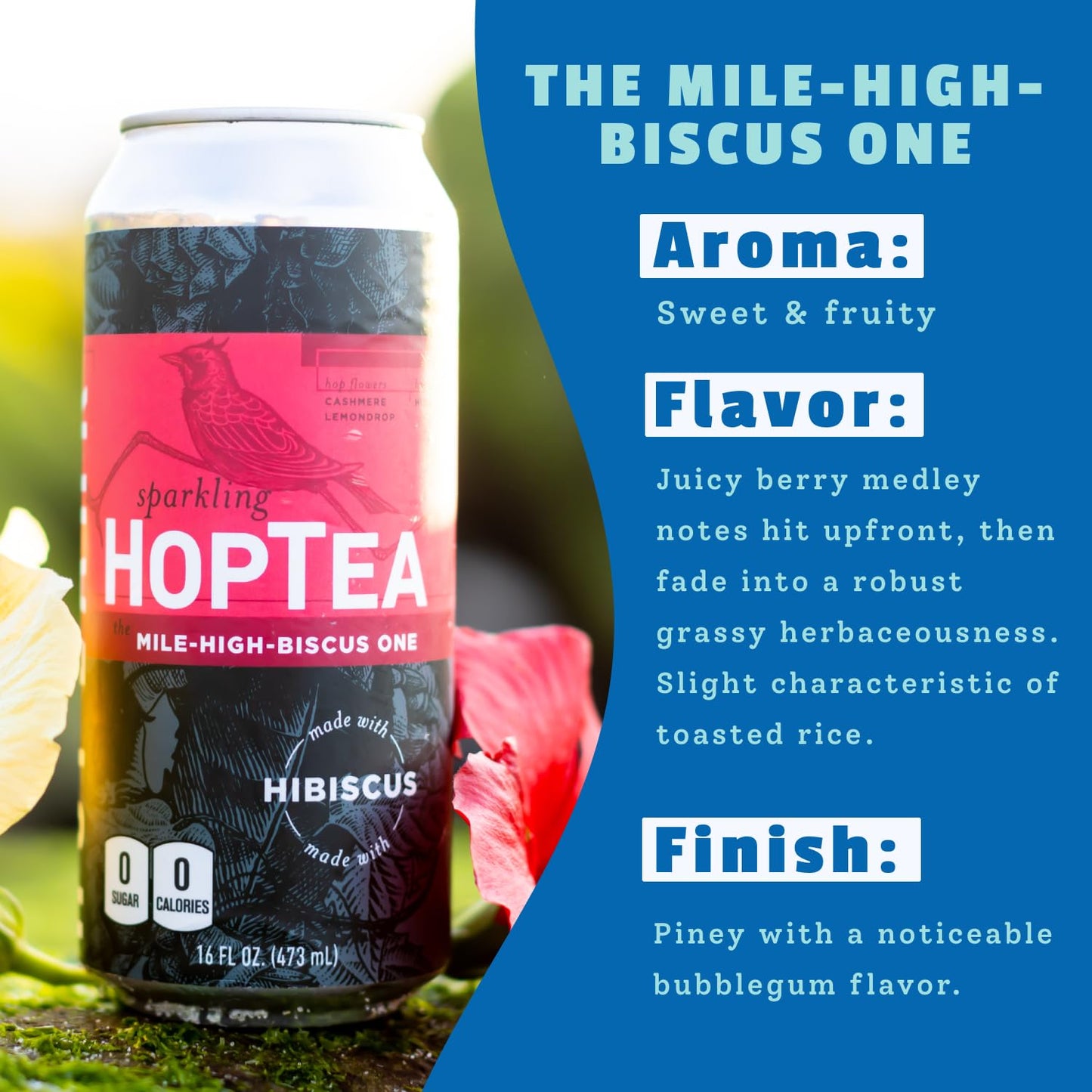 HOPLARK Sparkling HopTea – Hibiscus Tea with Lemondrop and Cashmere Hops – Tart Botanical Sparkling Tea – Zero Calorie – Caffeine Free – 12 Pack 16oz Cans - The Mile High Biscus One