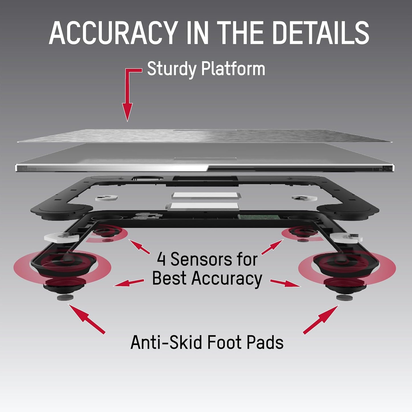 Taylor Digital Scales for Body Weight, High 400 LB Capacity, Brushed Stainless Steel Thin Glass Platform, Unique Blue LCD, Durable Platform, 11.8 x 11.8 Inches, Stainless Steel