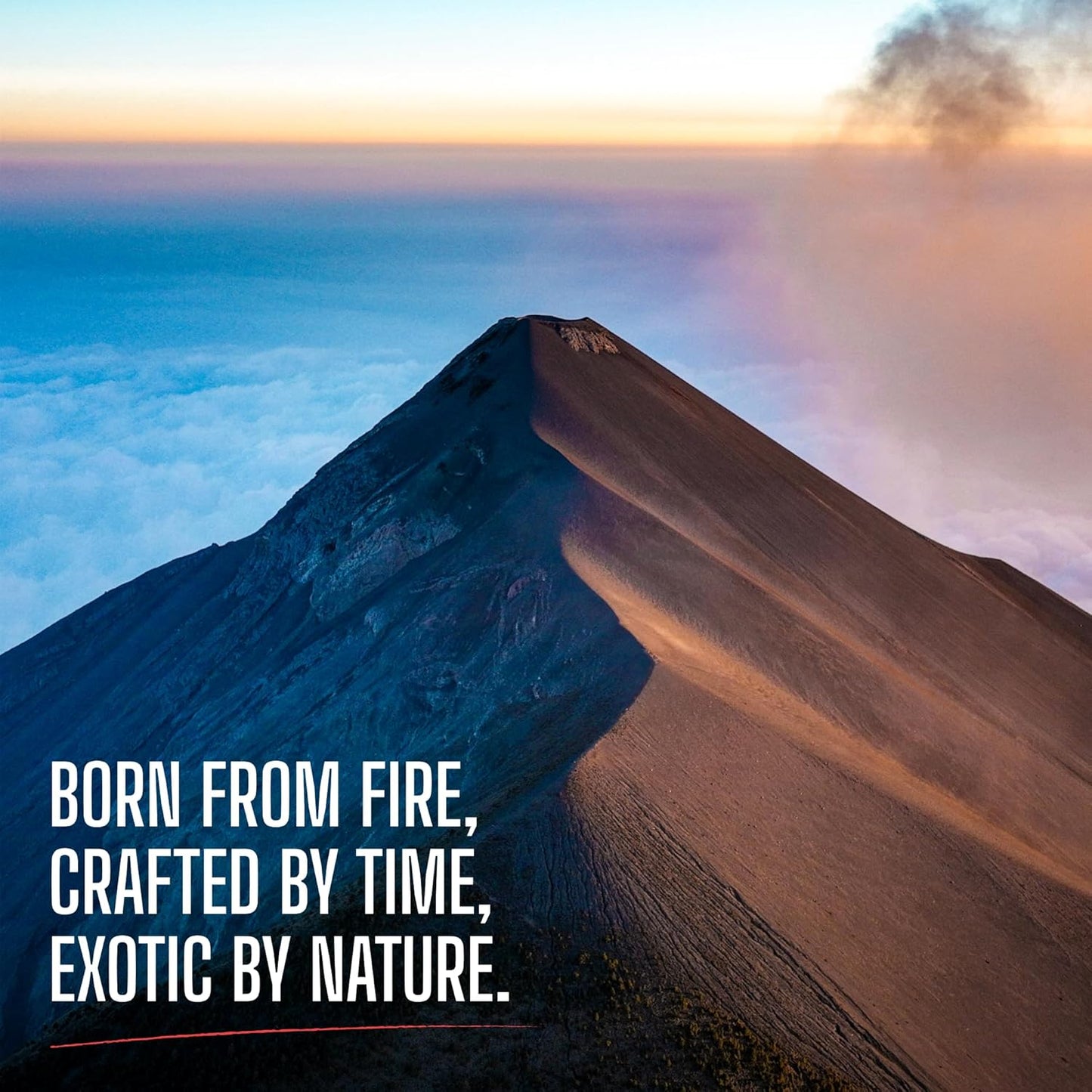 Brazil Peaberry Coffee, Whole Bean, Fresh Roasted, 16-ounce