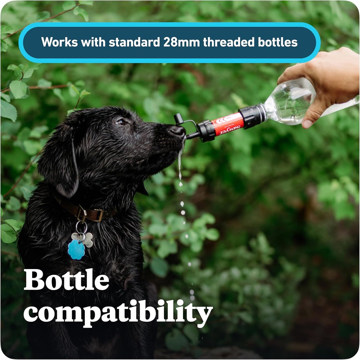 Sawyer Products Mini Water Filtration System