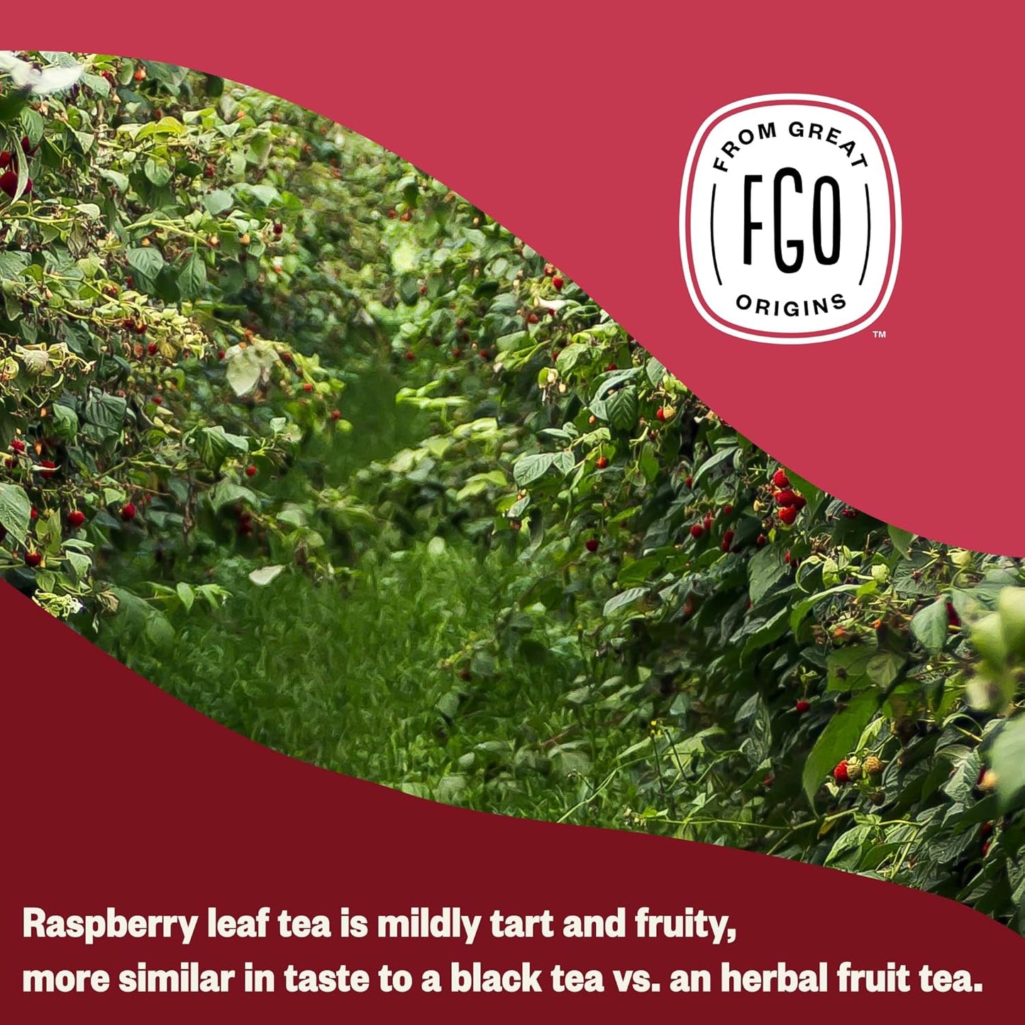 FGO Organic Red Raspberry Loose Leaf Herbal Tea, Cut and Sifted, Caffeine Free, 16oz Bulk Resealable Pouch, Packaging May Vary (Pack of 1)