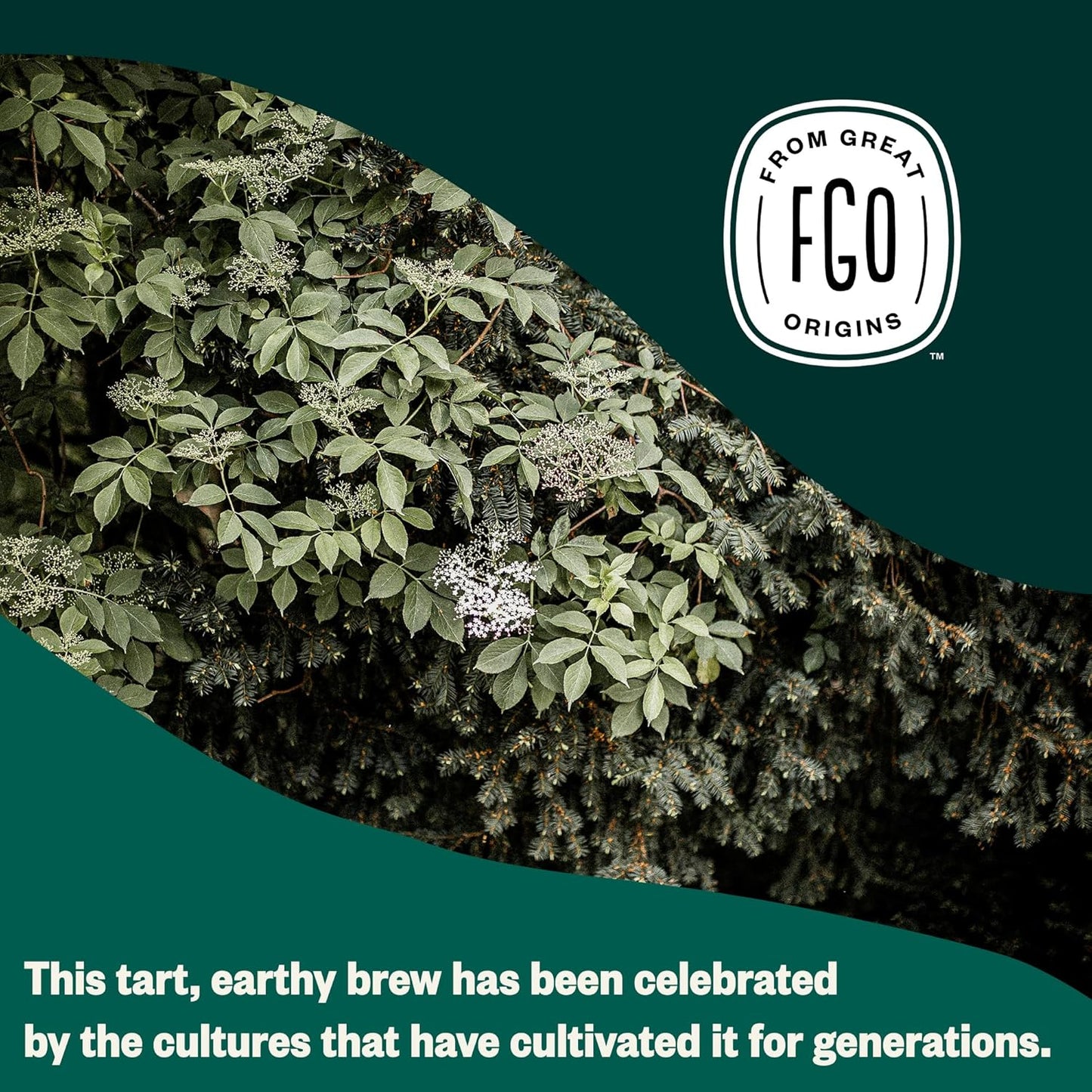 FGO Organic Elderberry Tea, 100 Count, Eco-Conscious Herbal Tea Bags, Resealabel Bag, Caffeine Free, Packaging May Vary (Pack of 1)