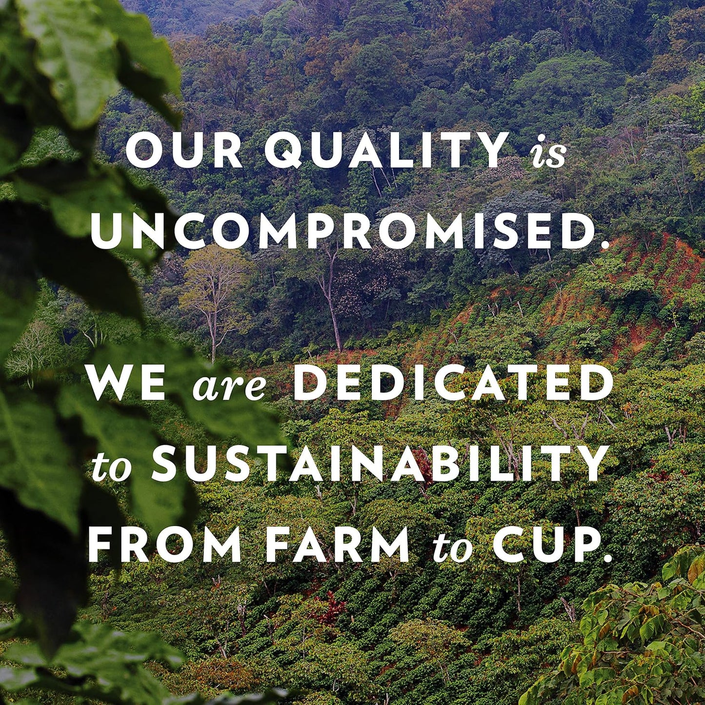 Community Coffee Flavored Pods Variety Pack,72 Count, Medium Roast and Flavored, Compatible with Keurig 2.0 K-Cup Brewers (24 Count, Pack of 3)